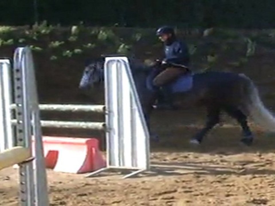 sendawar 11 juin 2011