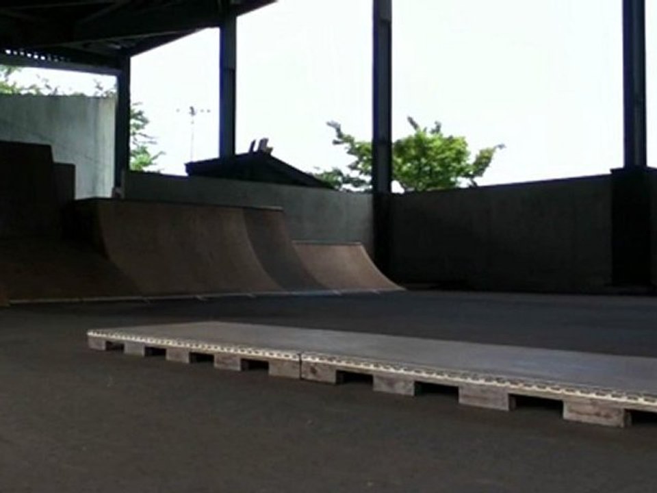 Skate