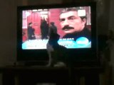 Kedi Televizyon