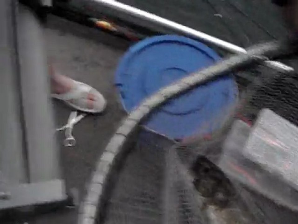 Brochet 1.10m à Miribel par Sylio du F.U.K