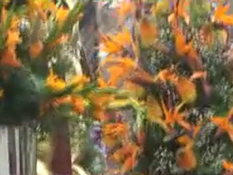 PROCESION SAN MARTIN DE PORRES 2