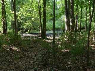 A Conversation on relationships.