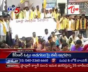 TDP holds rallies, block traffic