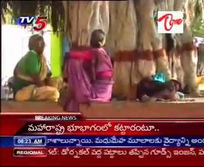 Three more test positive for swine flu