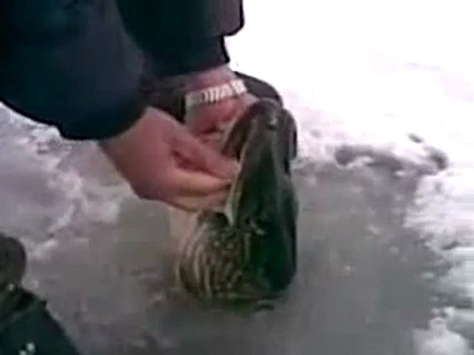 Ice Fishing Mit bloßen Händen in Russland