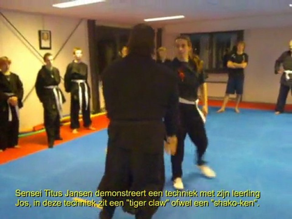 "Secret Tiger Claw" Sensei Titus Jansen : Koga Ryu Ninjutsu Groningen
