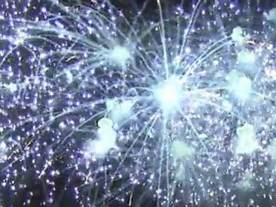 Bouquet Final Foire aux Fromages 2011 Bar sur Aube