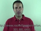 Veterinarian Rockville MD - Cost Of Visits