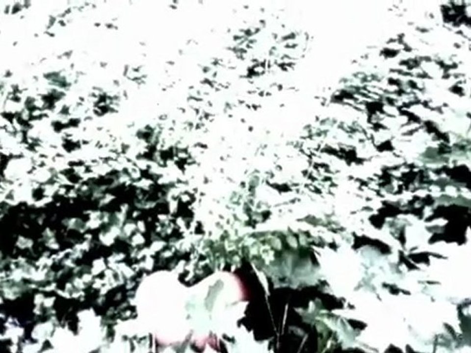 Reisegruppe fischer - radarlove