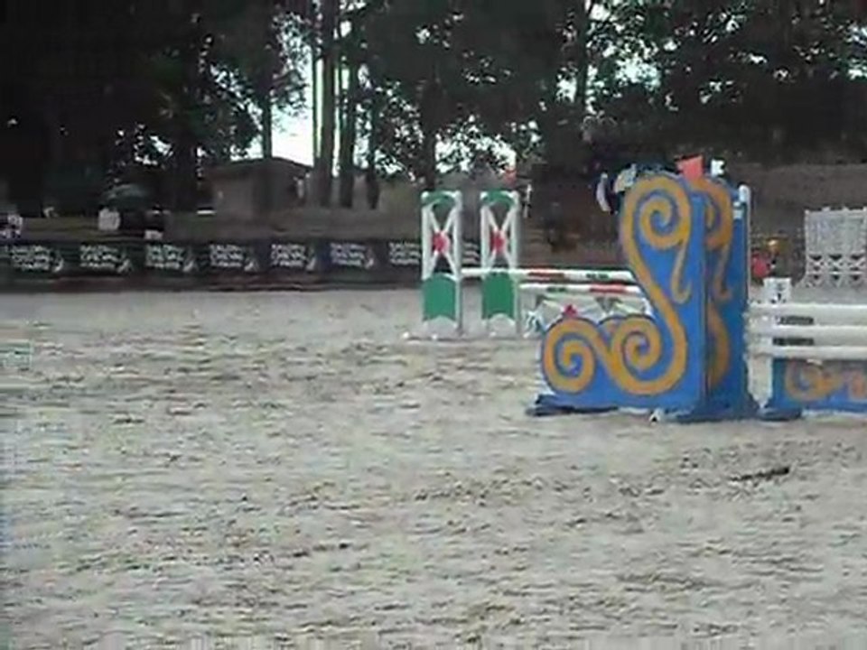 best pony on my world