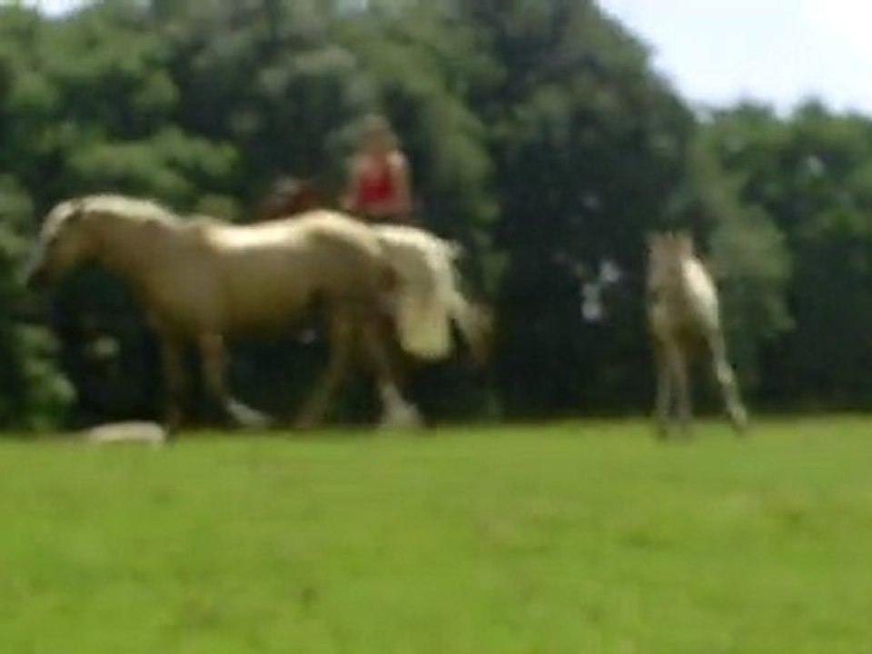 CLIP0029