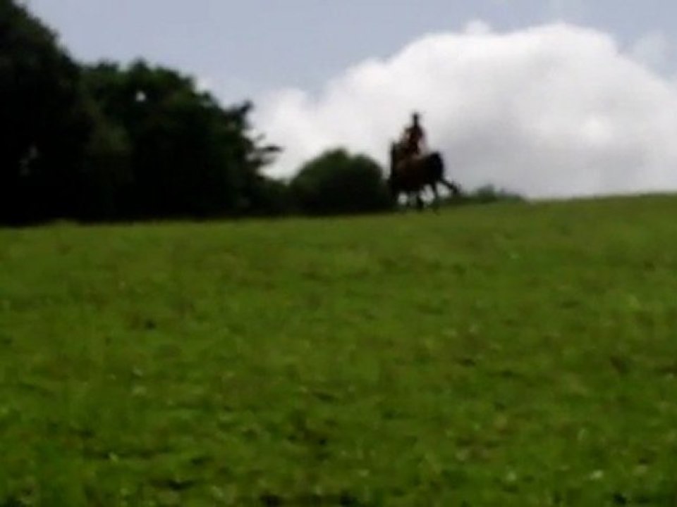 CLIP0030