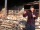 le monde des bergers provence 13300 temoignage et patrimoine video documentaire