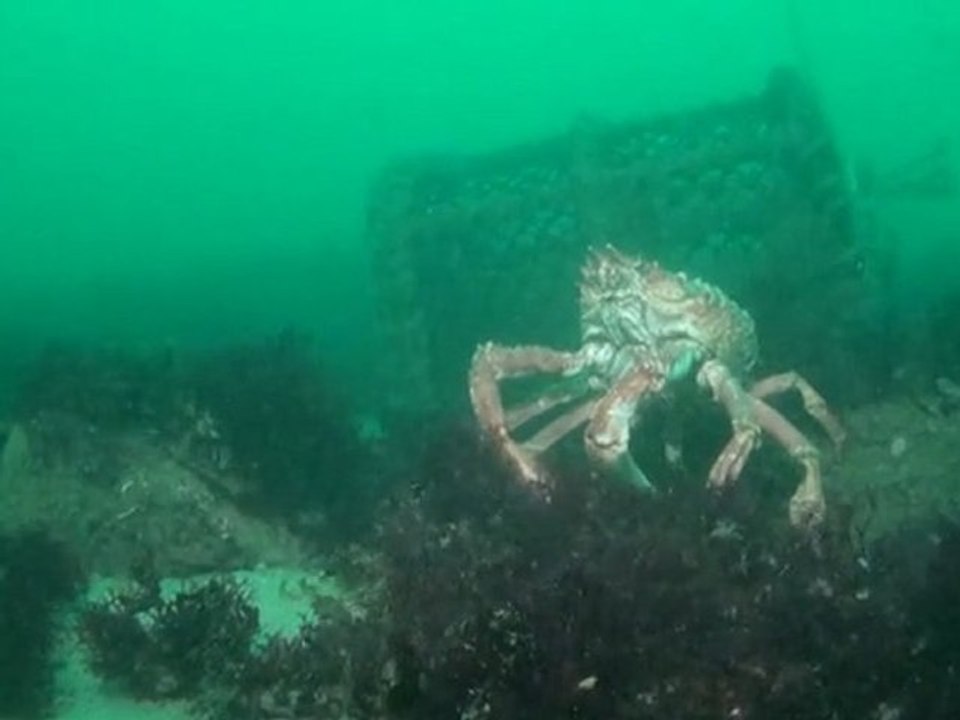 Fort du centre - Juin 2011