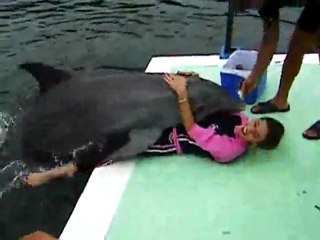 Pappi, was macht der Delfin mit der Frau Fail