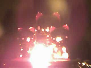 Librofílica y el resumen noticioso con gatos bonitos