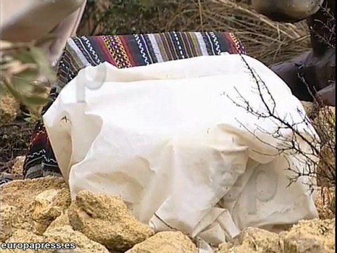 Un Nacimiento en Lepe es atacado por gamberros