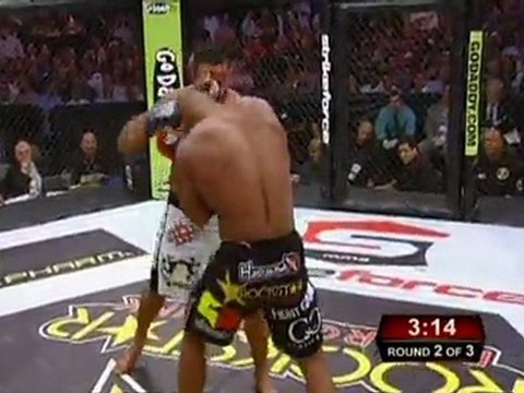 Strikeforce: Overeem vs. Werdum - Alistair Overeem vs. Fabricio Werdum