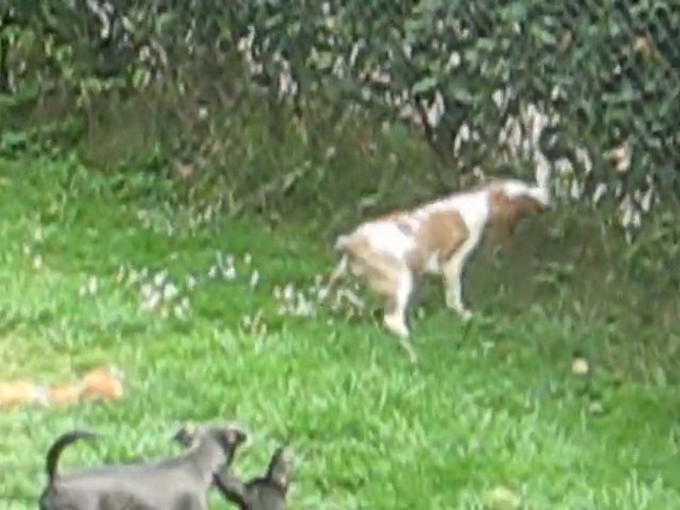 Athéna Gédéon et Gaïa dans le jardin