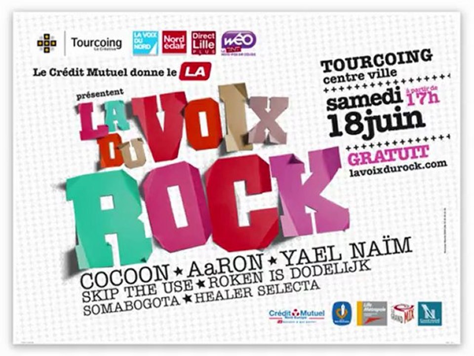 Skip the Use @ La Voix du Rock 2011