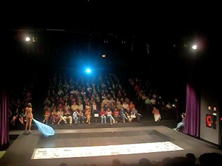 ANDRÉ PEREIRA - Moda Machico 2011 - THE CHAMELEON EFFECT