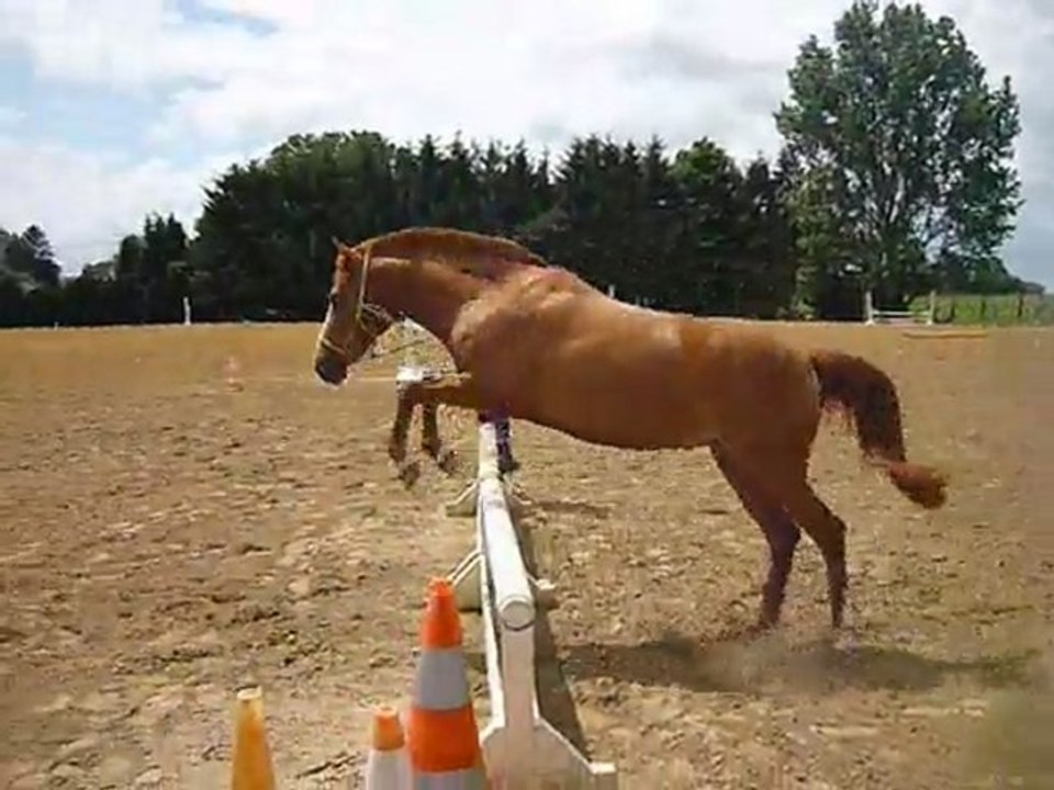 titi et l obstacle