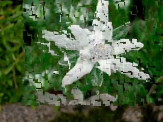 EDELWEISS - Soundtrack from movie "The Sound of Music" - Instrumental