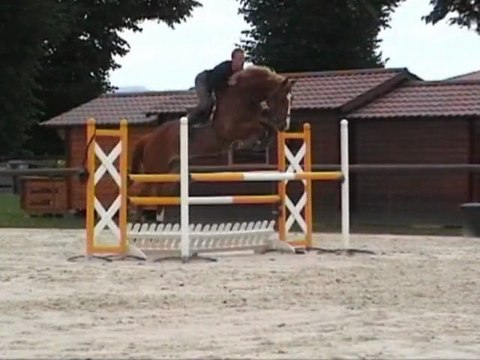 Flink Fopje entrainement CSO 19 juin 2011