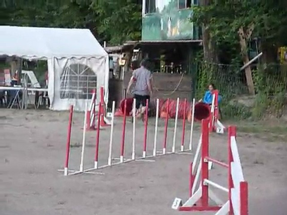 Brownie - Jumping+ Villeneuve-Loubet 18-06-11