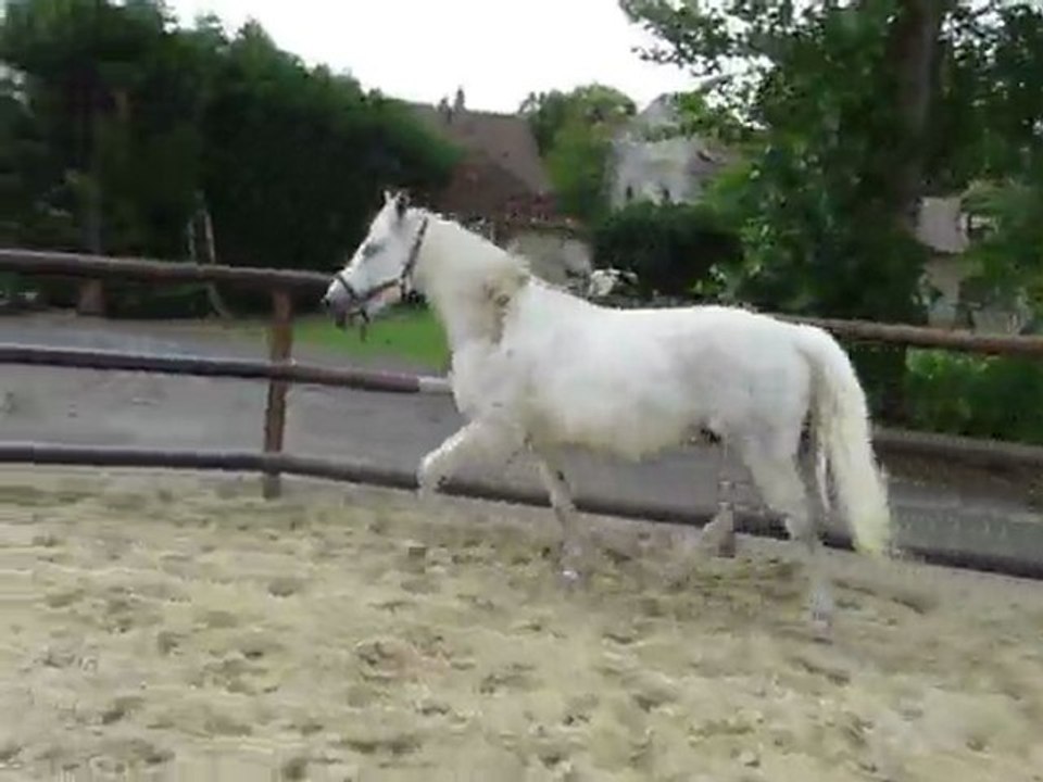 ferme 19juin2011 039