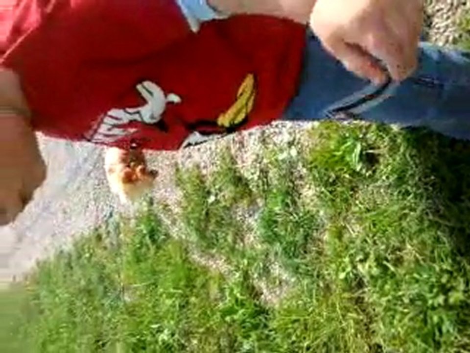 6 juin balade à Morteau