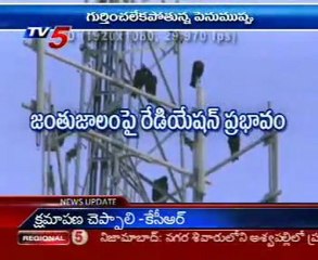 Daily Mirror - Nature - Protecting Nature - Preserving Life