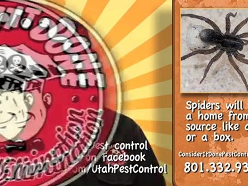 Pest Control Layton - Spiders in Bananas