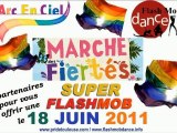 FLASH MOB Toulouse Gay Pride 2011 [video Officielle]LJB