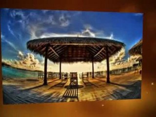 Make 1000 Dollars Fast