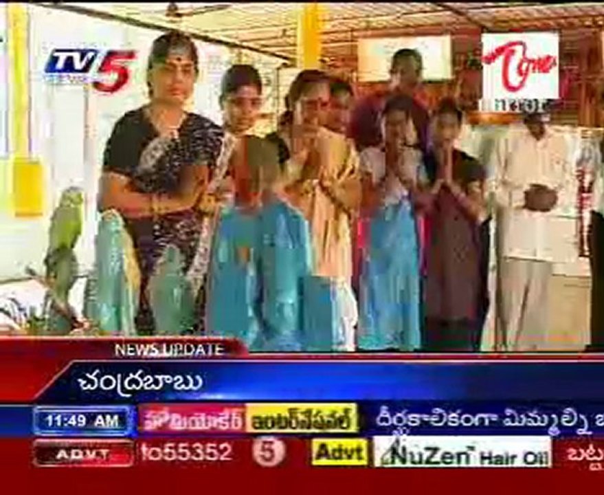 Really Wild Animals Wonders