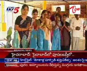 Daily Mirror - Devoted Animals - Animals doing rounds at Temples