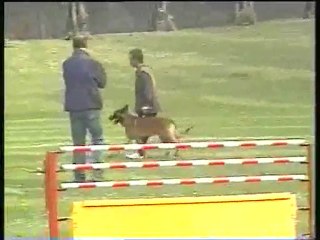 Dary ring 1 à Armentiéres le 16 Avril 2011