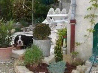 A vendre - maison - DIERREY ST PIERRE (10190) - 6 pièces -