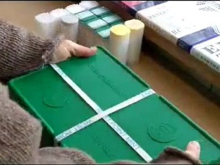 Silver American Eagle Monster Box