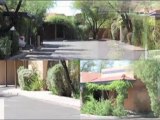 Rentals in Tucson at Adelaide & Cherry | Check out these Tucson Rental Properties