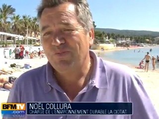 Une plage non-fumeur à la Ciotat