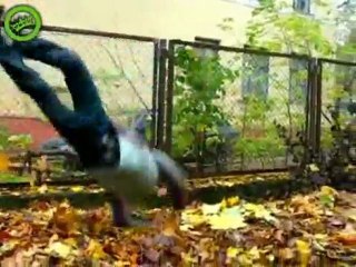 In soviet Russia