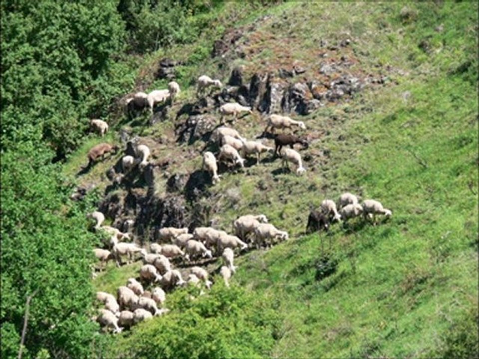 Voyage à PRADES Seconde CVA