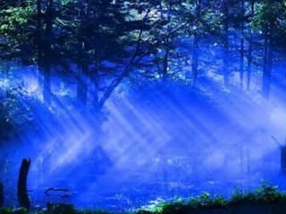 きみの朝／岸田智史