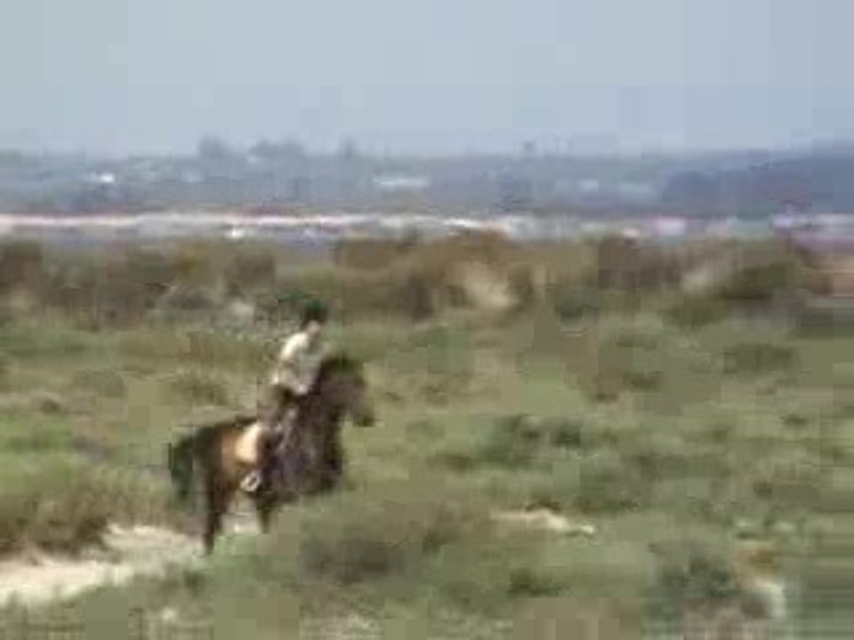 Le cheval de don Juan