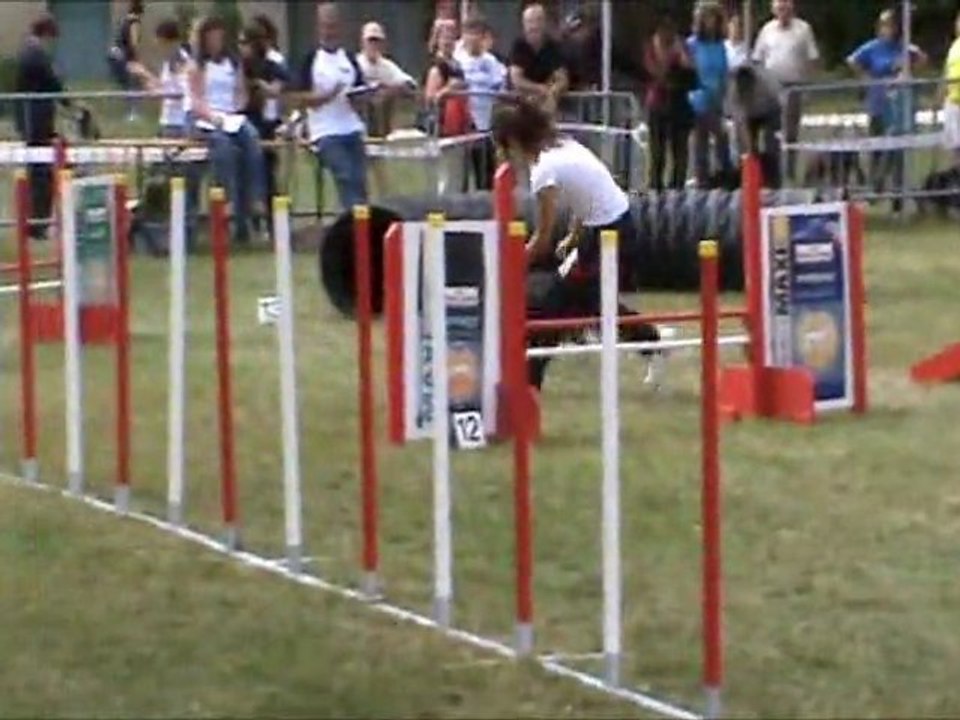 COncours Agility à Surgère 19 Juin 2011 Parcours commnté par Manue