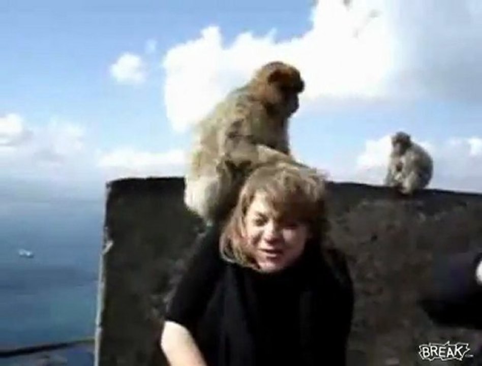 Girl Cant Get Monkeys aus ihrem Haar