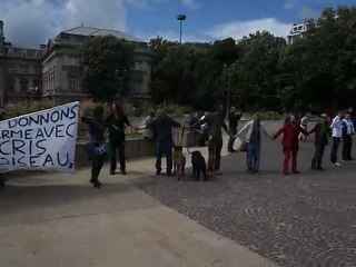 manif internationale des indignés - Lille 19 juin