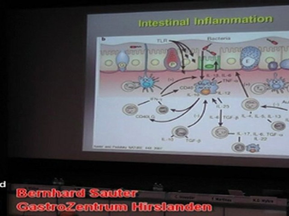 Bernhard Sauter - Inflammation in the gastrointestinal tract: basics and potential therapeutic interventions